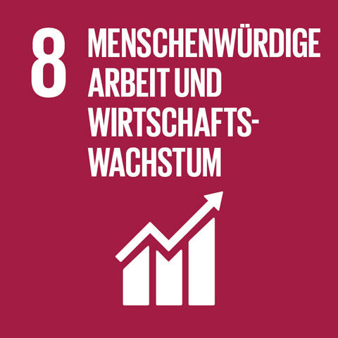 SDG-icon-DE-08-480x480.jpg