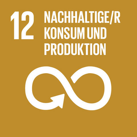 SDG-icon-DE-12-480x480.jpg