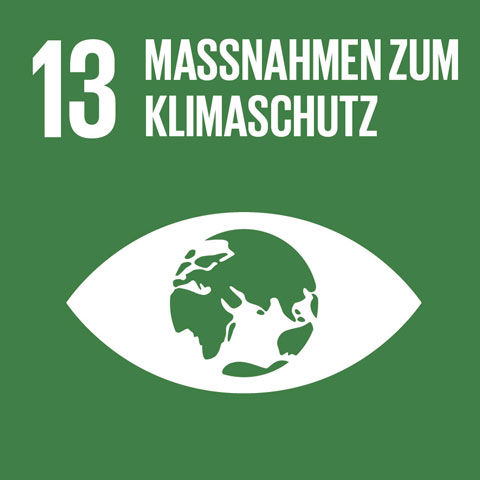 SDG-icon-DE-13-480x480.jpg