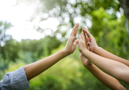 Nachhaltigkeitsinitiativen igefa